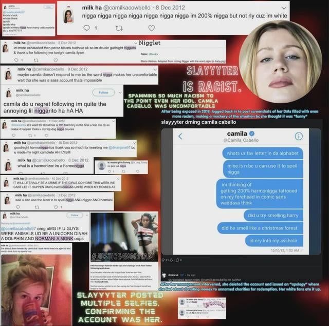 RushtonDolls's tweet photo. @slayyyter  INCELYYYTER IS A RACIST https://t.co/4Z1ff7hqBO