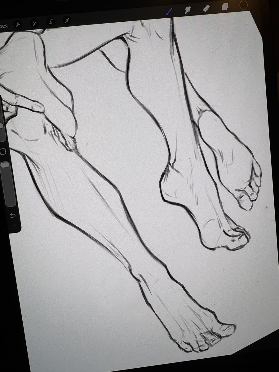 _lioness_art's tweet photo. wip https://t.co/cE8ugsK65w