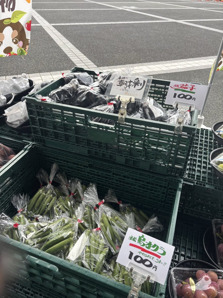 kuumstar03's tweet photo. 可愛いカラフルで刺激的なプチプチ。
なんていうんだろう。

浜名湖SAの八百屋さんに売ってた
朝取りナスも100円で新鮮だから
いつも何気に寄りたくな��

#浜名湖
#hamanako 
#サービスエリア https://t.co/d31OLCViXC