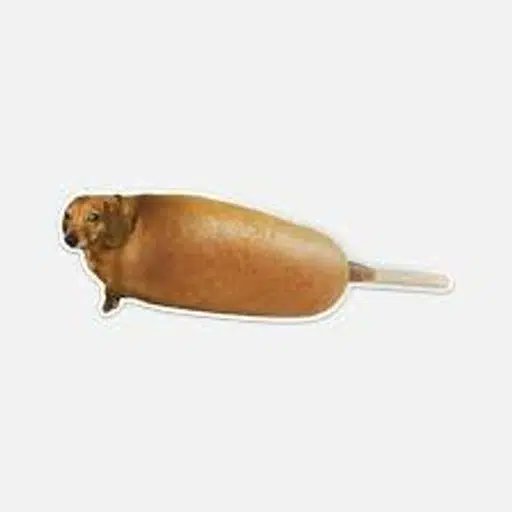 OxFlipped's tweet photo. Hotdog is at 5m on Robinhood

The only other animal + food name is

$Corndog https://t.co/Pu8AC7enN3