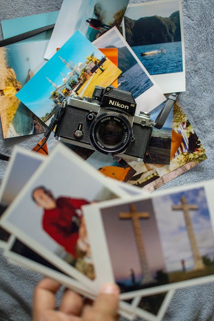 webbtimothy7439's tweet photo. Mason Andrew Lucy Olivia Laughing long Jonathan all day with and oscar mowrer⌨️ https://t.co/vhYrxoYiUU