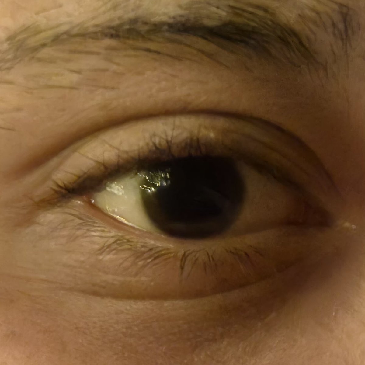 faloperitauwu's tweet photo. gn! 
me meti 0.5 d una, me olvidé de lo rico que se siente ;p
#drugstwt #drugtwt https://t.co/jm7y5mHNTp
