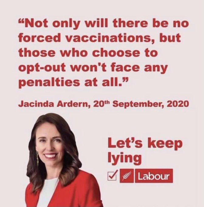 365MickeyBlue's tweet photo. Nearly 6 years ago, Jacinda delivered a whopper of lie.... never forget..... https://t.co/Jr2rW9Lmjw