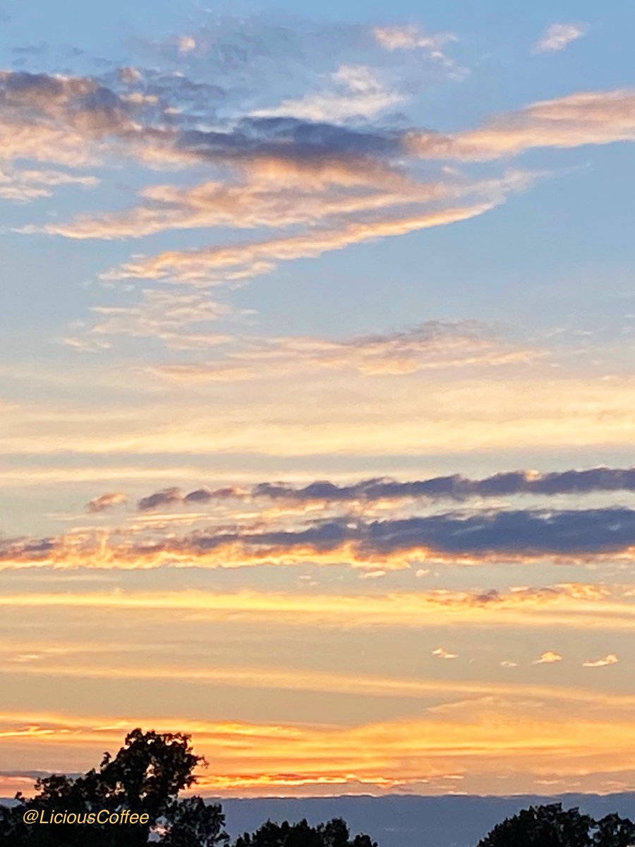 LiciousCoffee's tweet photo. The 🌎 is full of amazing contents, see it, recognize it, create IT—find Art in Nature.

🧡🌅 Beautiful #Golden Sunset 
#Nature #NaturePhotography #Photography #PhotographyIsArt #Tree #Park #NatureWhisperer #Sunset #SunsetPhotography #NatureWalk https://t.co/Hds83zZ4dz