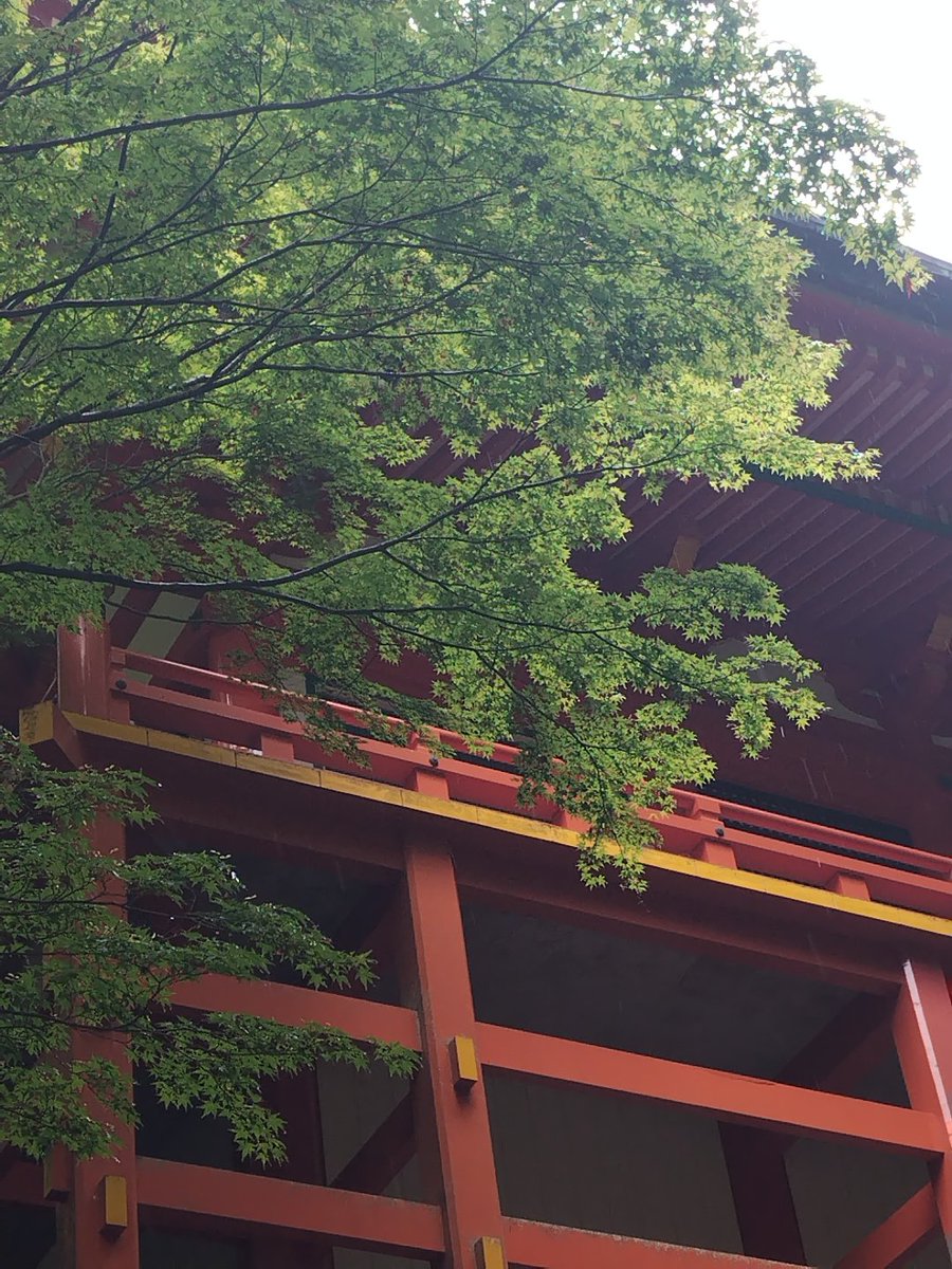MYatayanPerf's tweet photo. 雨の中！横川中堂、静寂かつ荘厳🙏 https://t.co/vi9g5TqlYZ