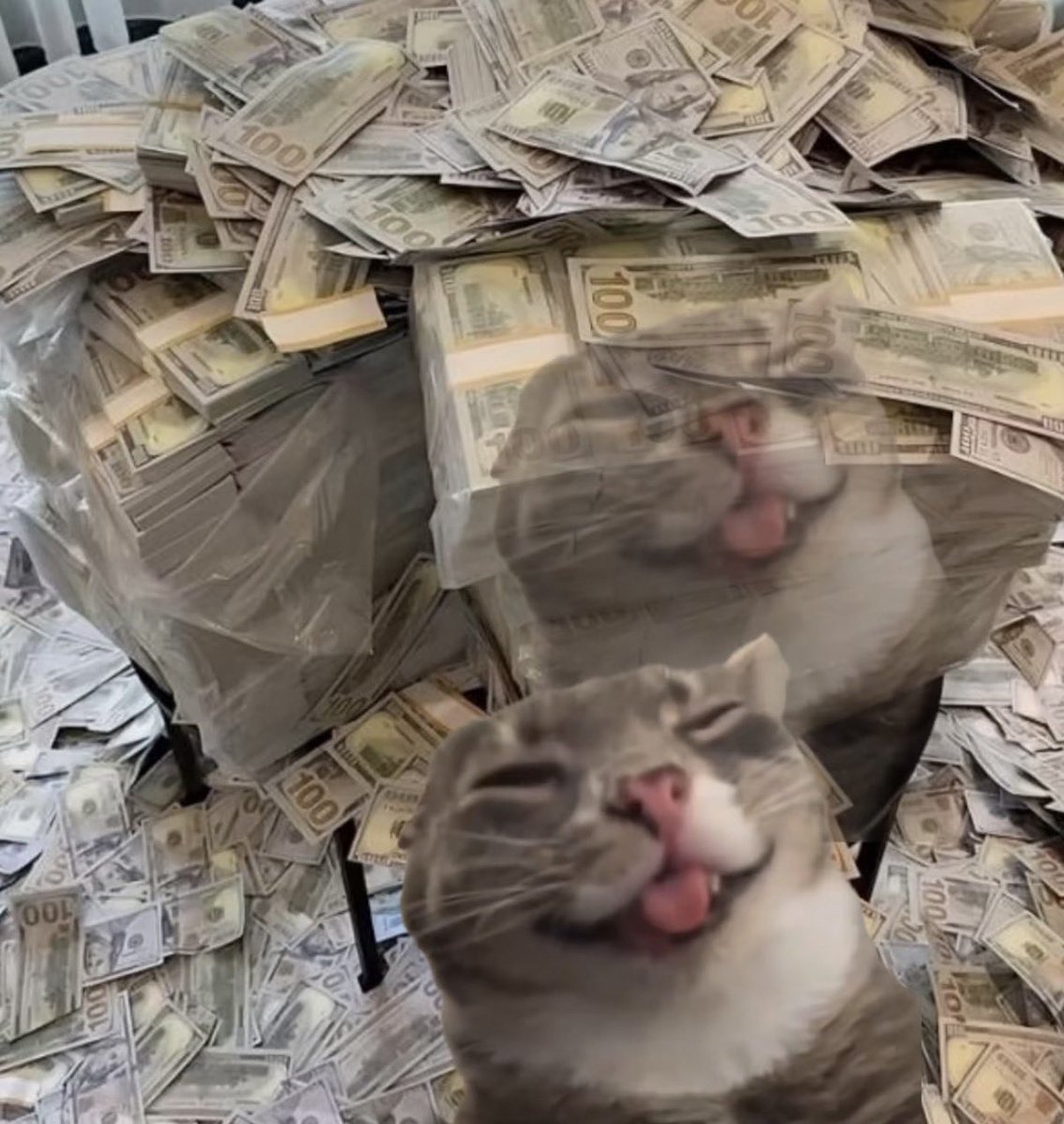 twaniimals tweet picture