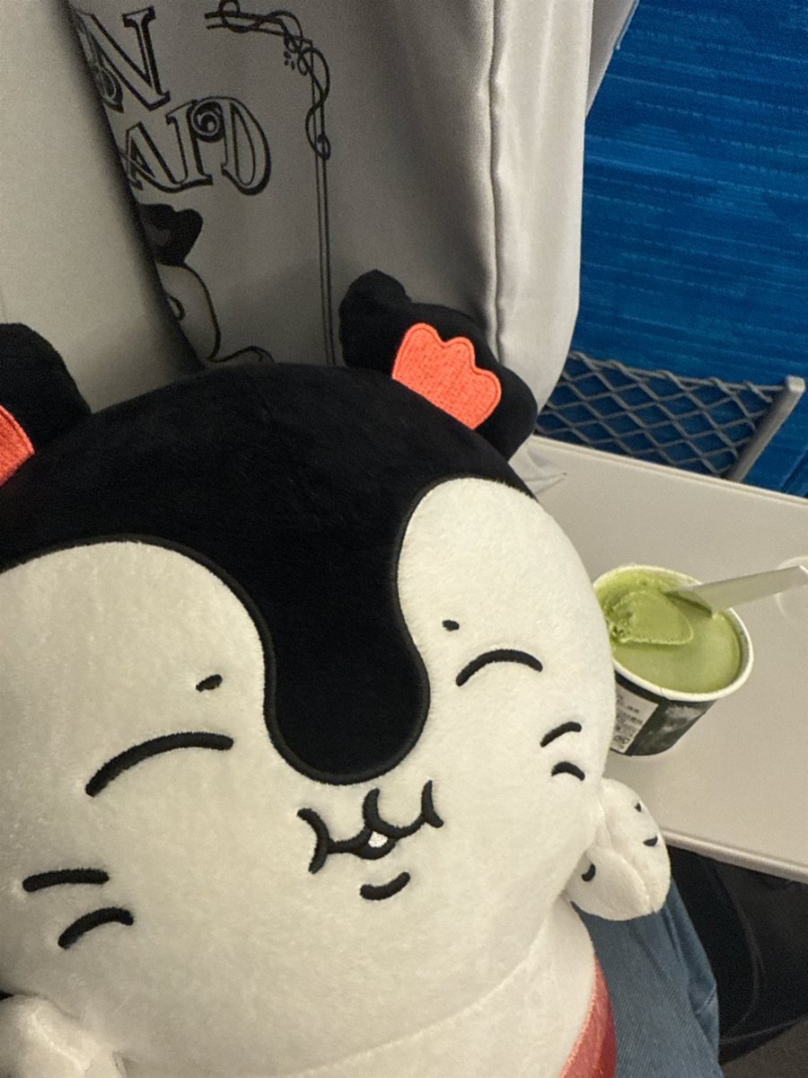 yoppi_n_p's tweet photo. 「ｼﾝｶﾝｾﾝｽｺﾞｸｶﾀｲｱｲｽ…？」

「硬くて全然食べられないっ！！」

↓食べ頃になってから

「ん〜！甘くて冷たくておいし〜♪」 https://t.co/PkrSMWlmYv