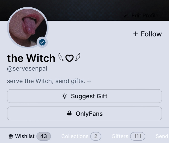 thornsonroses's tweet photo. Spoil the Witch—send Senpai Demoness a gift. 💗 https://t.co/UQbOX3lmrn https://t.co/hSBk5vEUd2