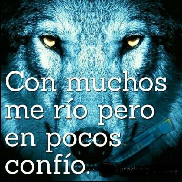 drkszul's tweet photo. @77agustd Eyey jamás digas eso https://t.co/MY6TxHZ7Rw