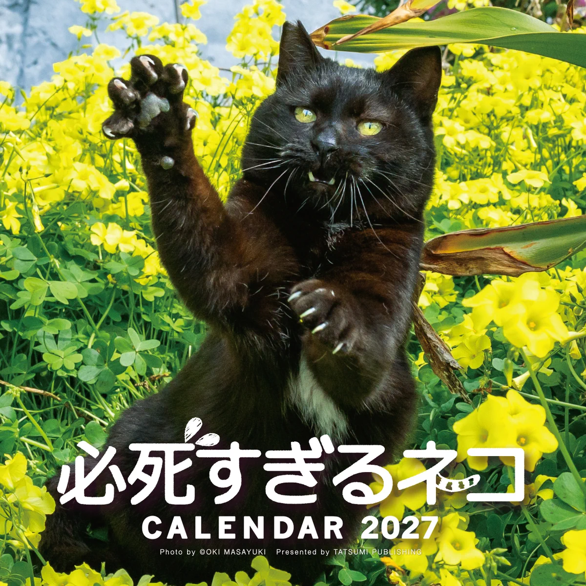くろねこページ 辰巳出版グループ公式（面白い、楽しい。を追求してSince1967） on X