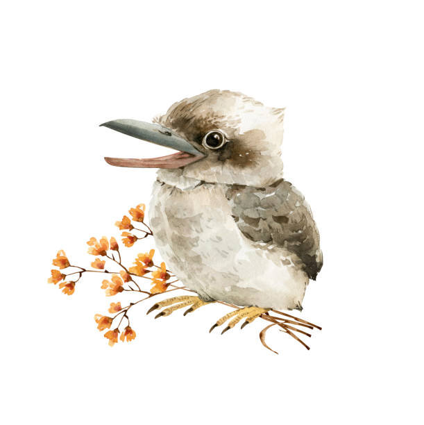 wsvbyz's tweet photo. 蛍が高原のほとりで静かに鳴く。 https://t.co/BErIHNTuUi