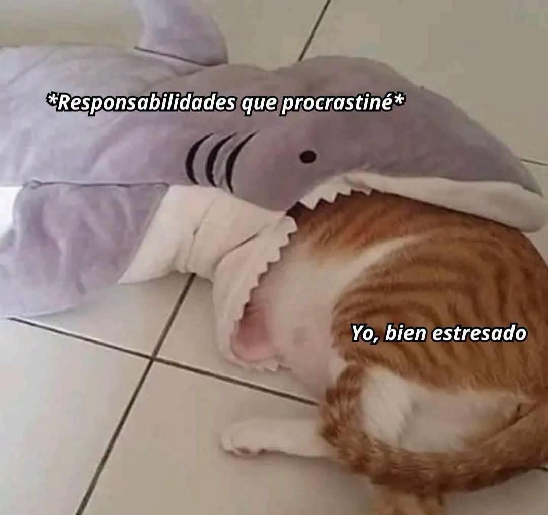 LupeCardozo7's tweet photo. Basta sí soy https://t.co/Vkbp05sACx