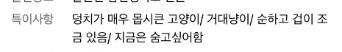 diryapangin's tweet photo. 덩치가 매우 몹시큰 고양이 거대냥이 순하고 겁이조금있음 지금은 숨고싶어함 ㅠㅠ https://t.co/3VkiTgJj9N