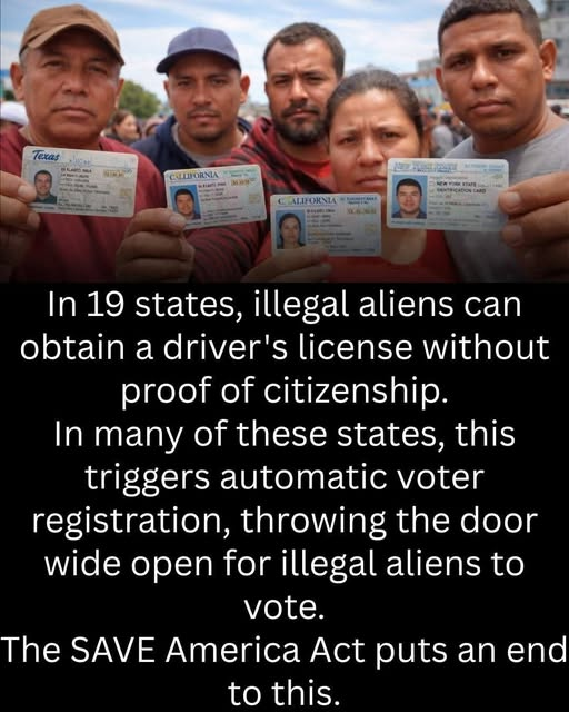 GSairplay's tweet photo. @Juan14322155 @chaszboy39834 @mmpadellan Does the iMMigrant need to be iLLegal ?
Just Like Commercial Truck Drivers
Save America Act. https://t.co/fhDE0eZpnb