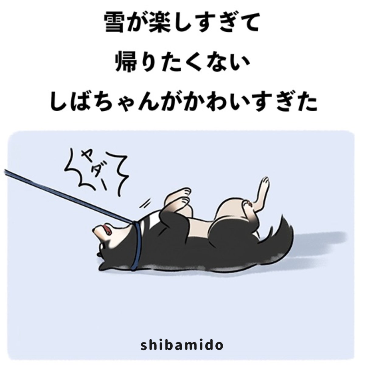 shibamidoo's tweet photo. https://t.co/XjhyyyeGZN