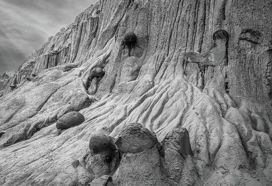 joancarroll's tweet photo. Cannonball Concretions 2 Theodore Roosevelt National Park ND BW! https://t.co/0lCqTzlLR1 #theodoreroosevelt #nationalpark #northdakota #cannonball #rockformations #monochrome #blackandwhite #blackandwhitephotography #erosion #landscape #rugged #FAArtist #buyart #HomeDecor #wallart #artforsale #artstore #travel #travelphotography #wallartforsale #giftideas @joancarroll