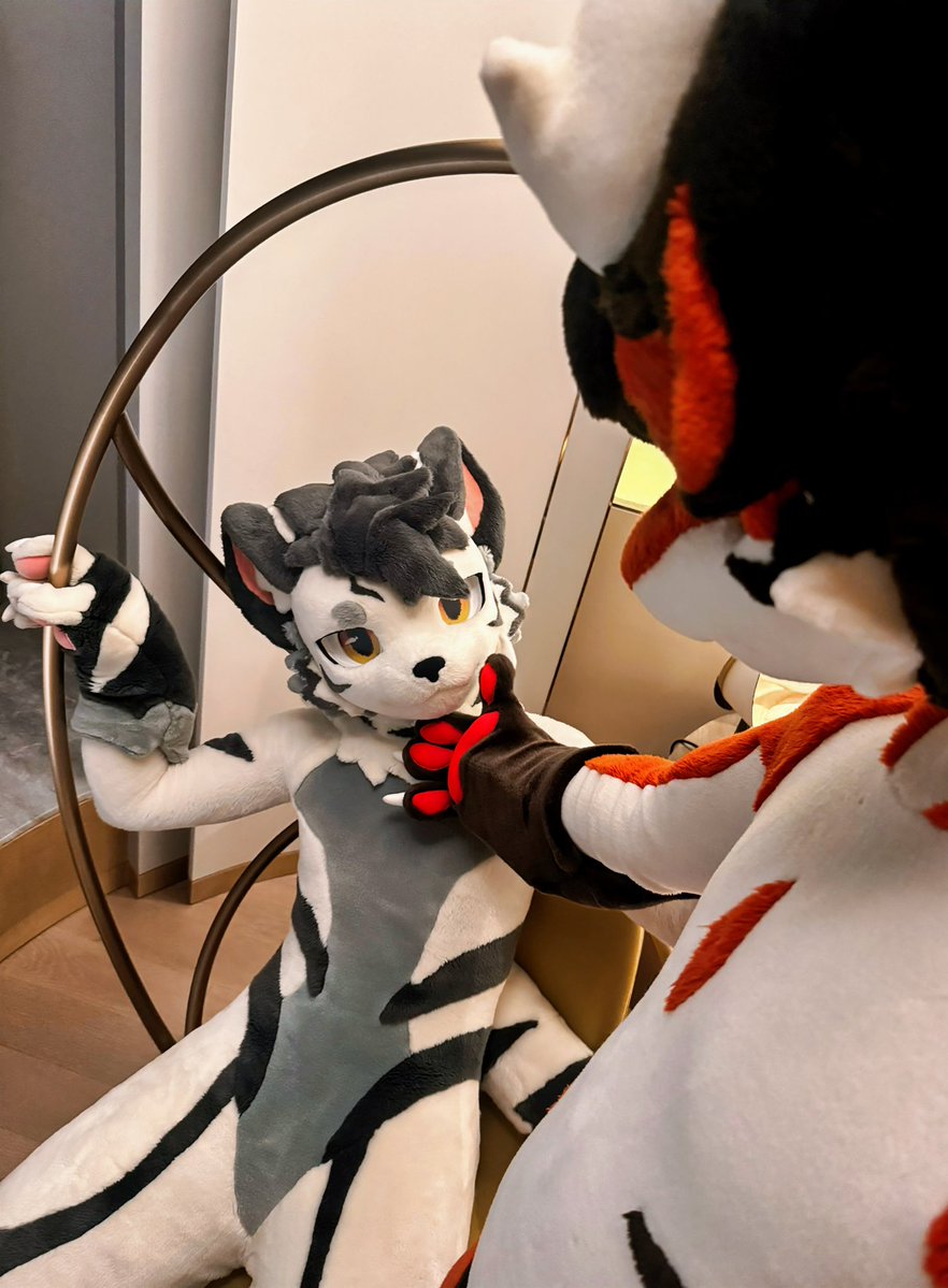 FurryGintan's tweet photo. 🛡️：你看起来很好吃
🐯：你也是 https://t.co/khrjS126xe