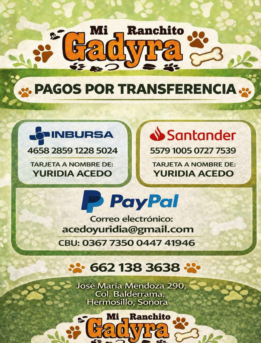 gllgina1's tweet photo. El es Ugo.. si sin H.. no sabemos que le paso trae una herida infectada llena de gusanos .. casi no puede caminar🥺 si gustas y puedes apoyarlo es directo a la Veterinaria 🙏cualquier cantidad ayuda muchisimo 4658285912285024
INBURSA
Yuridia Acedo
CASOS RESCATADOS-Ugo https://t.co/8asnO79ihz