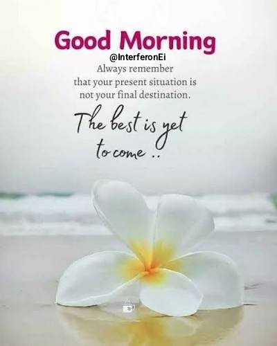 InterferonEi's tweet photo. Good morning 🌄
#NitinGadkari #Telangana #Intraday #CJP #EthanolScam #SCOTUS #Cornyn #jisoo
#Trump #Modi #UPICharges #NRED
#PoJK #India #GenZ #UPI #FCRA
#Trump #Kerala #Mamdani #Messi #Thune
#Yeshanagula #Silver #GiftNifty #Sensex
#Fauci #NVIDIA #ToxicReview #Nepal
#ToxicMovie