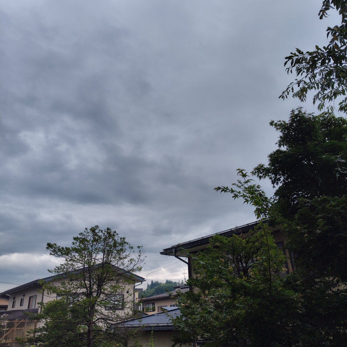 1964_sarubobo's tweet photo. ミルさんみなさんおはようございます✨
今日は生憎の曇り空。
もうすぐ雨も降り出しそうです。
昨夜は早く寝たので10時間くらい寝ているのですが身体が怠くて仕方ありません。
起きた時の体調ガチャが毎日あるのは辛いです。
本日もご安全に。

＃アサソラ https://t.co/owe60rVEJC