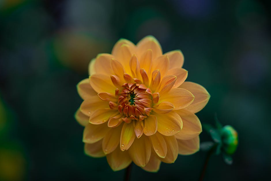 ForrestMeiti's tweet photo. إرشادك هو الذهب. شكرا يا أخي. لقد كان شكرا للمحتوى الثاقبة. مفيدًا! long faldyn⬛ https://t.co/5DOPzEZdSn