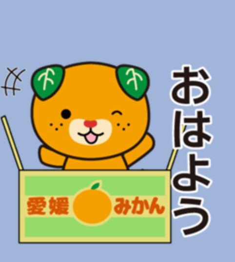 rokiaBlue's tweet photo. おはようございます。
今日は木曜日ですね。
頑張っていきましょう。 https://t.co/iDQIzAHjnb