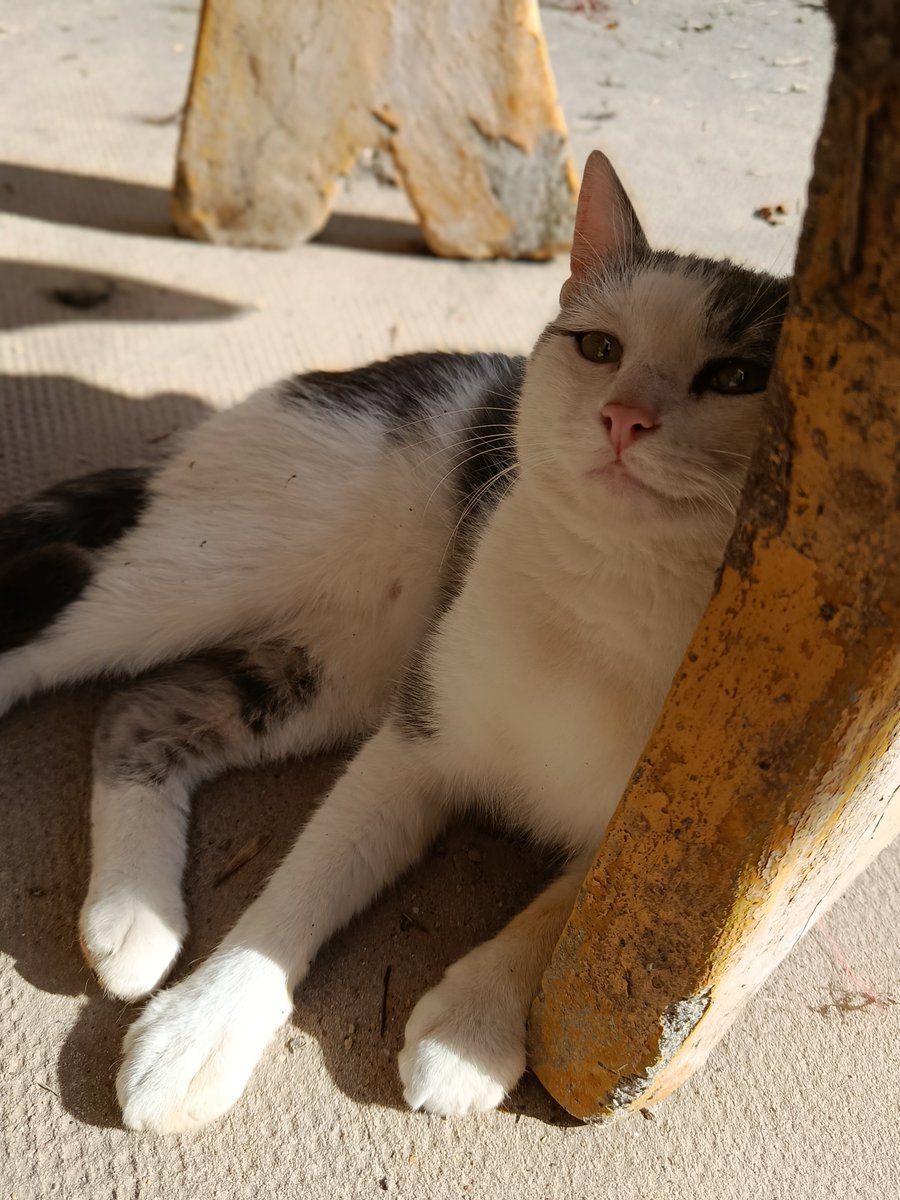 LaWachaDeArg's tweet photo. @vero11112 pero te llevaste a tu perrita viva, yo me lo lleve en una caja. Agradece lo que tenés, yo hubiera gastado toda mi plata con tal de llevarlo vivo a casa https://t.co/ctCSNlv07F