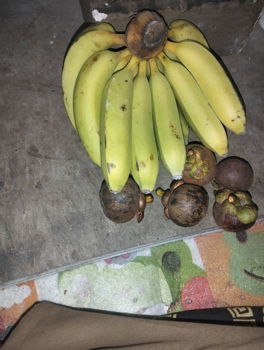 degenvibes1's tweet photo. To keep your body healthy, consume fruit... 4 healthy 5 perfect 🧘 https://t.co/cDUsuTyGNx