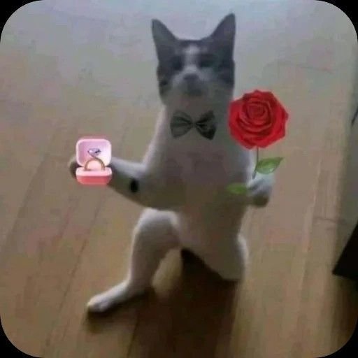 Mr_Emmanuel90's tweet photo. @theJessicaA_ 😭 https://t.co/kt7Nt4yekt