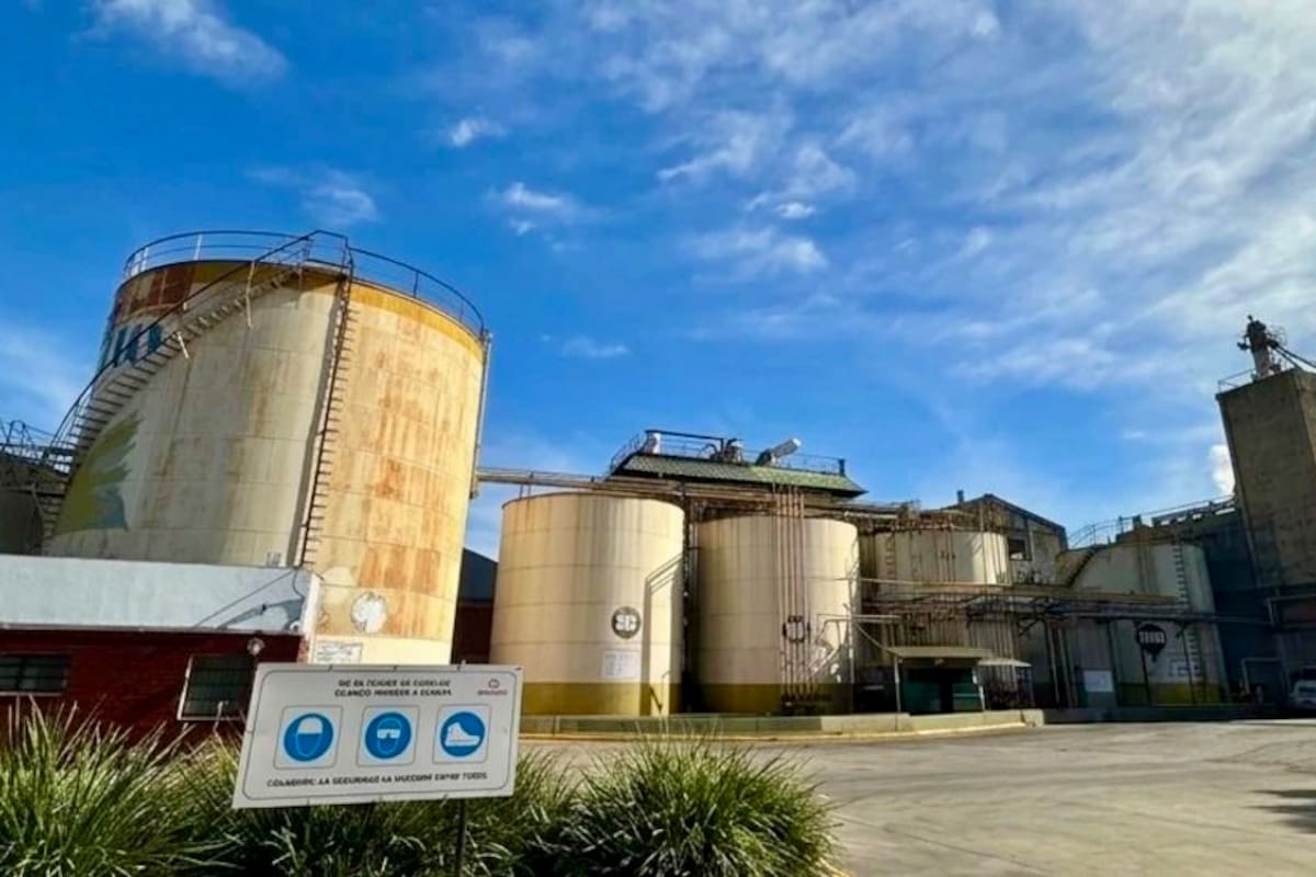 LNcampo's tweet photo. “Es un buen momento”: invertirán US$100 millones para reactivar una histórica planta de molienda de girasol https://t.co/kEpNW5H8DW https://t.co/ICVVDnYIgC