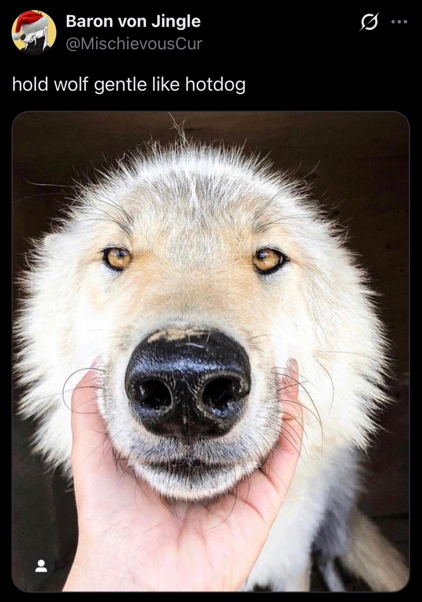 ProbablyNotWolf's tweet photo. https://t.co/Of9b0g7tld