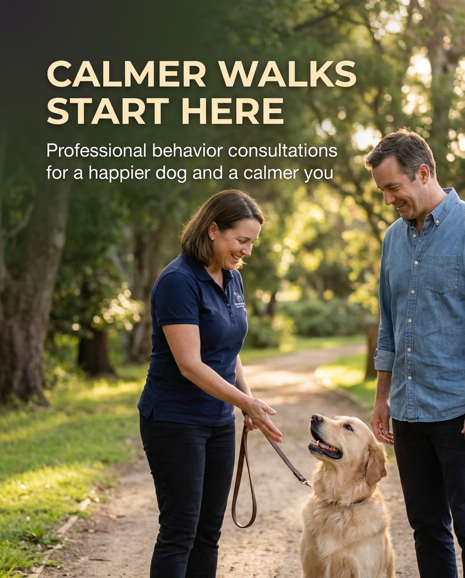 Veterinary_12's tweet photo. Tired of stressful walks? Our behavior consultations help you understand your dog's signals, turning every outing into a peaceful bonding experience. Discover the relief of a calmer walk today. #dogcare #dogaid #dogrescue #dogVeterinary #DogBehavior #PetCare #VetClinic https://t.co/iwOx7KQcGG