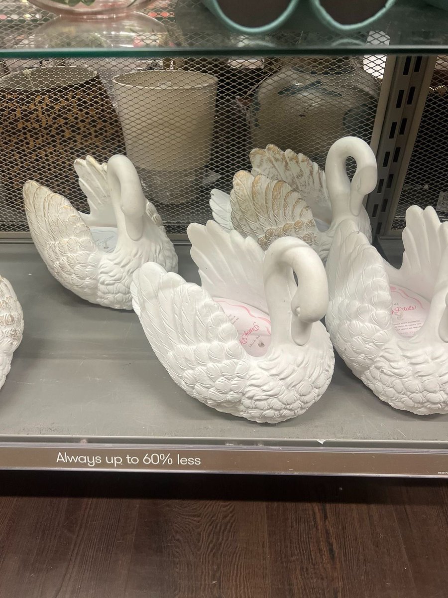 velvettyne's tweet photo. 🦢 https://t.co/eEzoOxh0pS