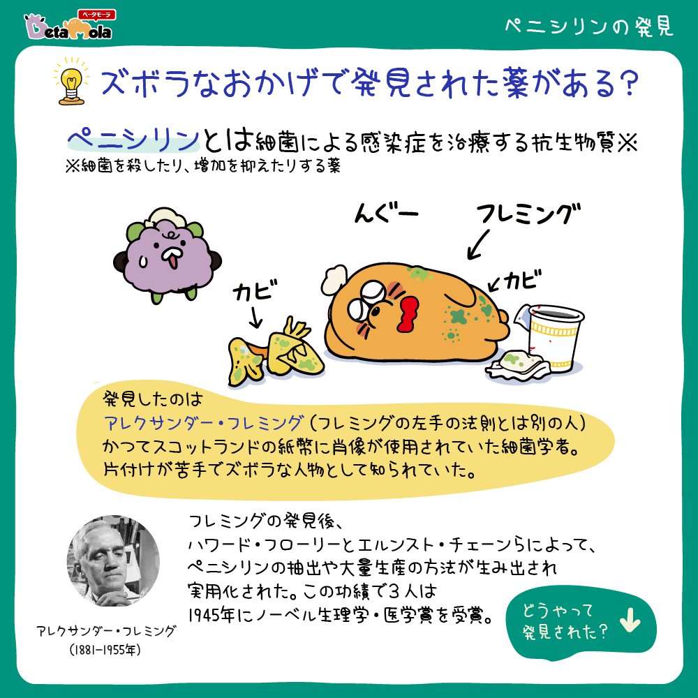 Mol_and_Beta's tweet photo. 【ペニシリンの発見💊】(1/2)
ペニシリンという薬は偶然が重なって発見されたことで知られています🧪発見者のフレミングがズボラだったからおきた偶然だという説も…。
今回はペニシリン発見のエピソードを図解しました💡
#ゆるいイラスト #モルとベータ #科学 #図解 https://t.co/rPwjDlRWCL