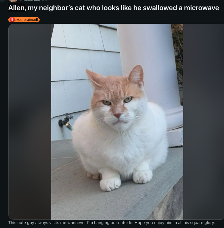 einsteincooks's tweet photo. GigaCat is here to save solana.

Post made 2 hours ago and already has 7K UPVOTES

Man up, square up, call it out and get paid like pump preaches

https://t.co/c5hsozF80T https://t.co/3Od4OYM7DZ