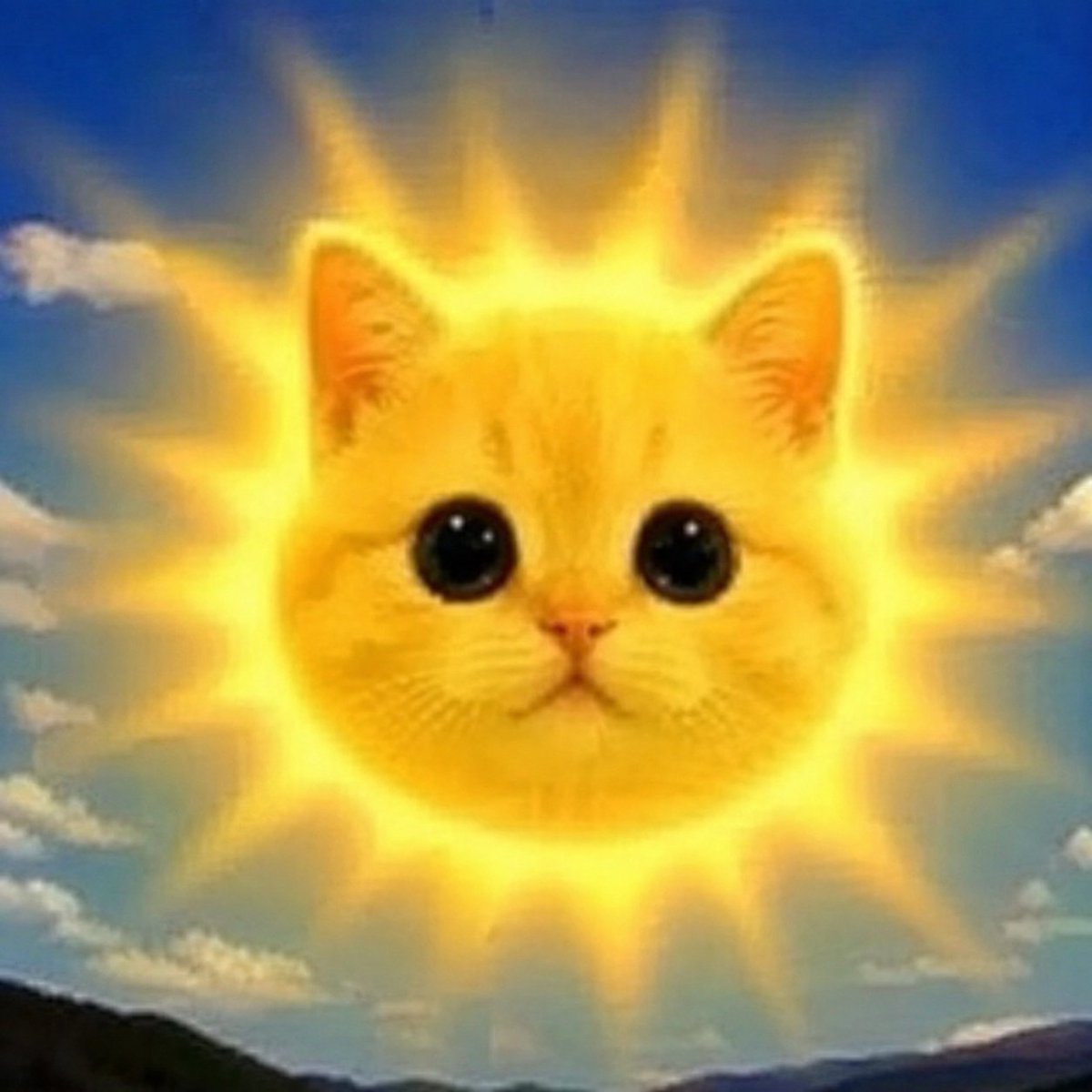 einsteincooks's tweet photo. This is Sol.

Sol is here to bring life and hope back to the trenches.

Sol is here to save us. https://t.co/p521pmPK27