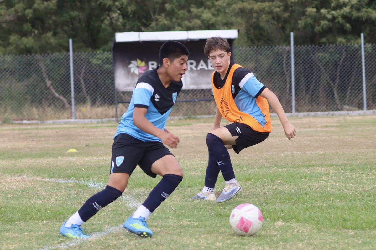 fedefut_oficial's tweet photo. #SeleSub15 ⚽️🇬🇹 MASCULINA
Jóvenes de todo el país que integran la Selección U15 masculina, siguen con sus entrenamientos en el microciclo de trabajo que se realiza en Greenfield. 🇬🇹💪🏽⚽️
#VamosGuate #VamosChicos https://t.co/Se9RZMEDl3