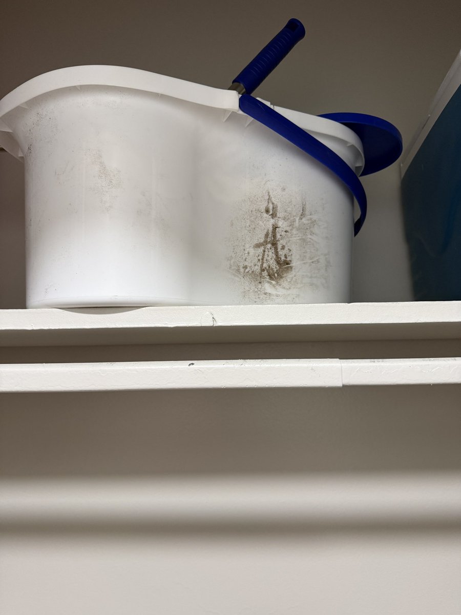 dysentori's tweet photo. my mop bucket just looked at me and said “call off your techno boy-toy or i tell the cops what your mom keeps in the lasagna box.  chilling. https://t.co/4EgVmS2AcH