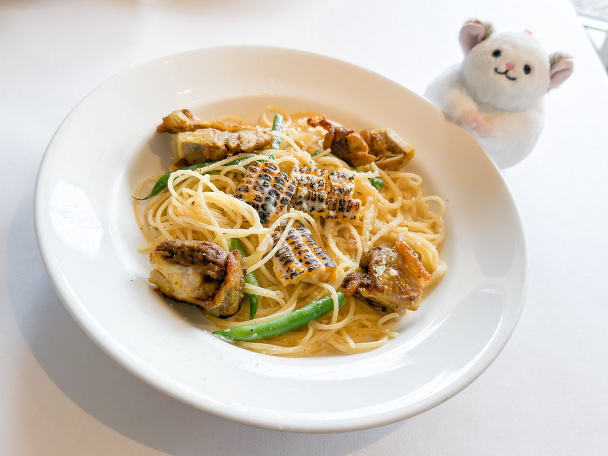 mainichi1mai's tweet photo. カルディのチンチラ『わたくしお手製のパスタでございます』みたいな顔で写ってくれて助かる… https://t.co/c9KLq8ETUE