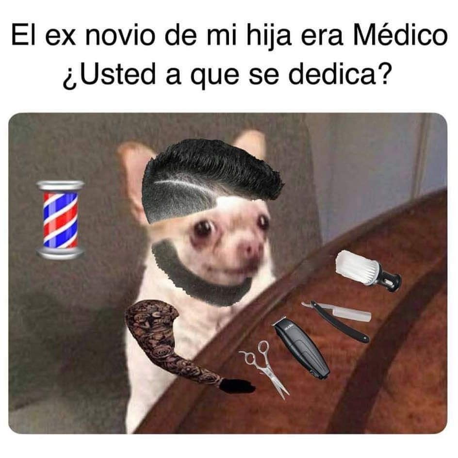 pandazambrano's tweet photo. https://t.co/uCtaK5A0aB