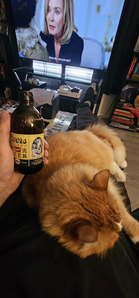 kilobeans's tweet photo. A banquet, a big ass orange kitty and hanging out with my husband after a long day of work 😀 https://t.co/FQeIsKbCcH