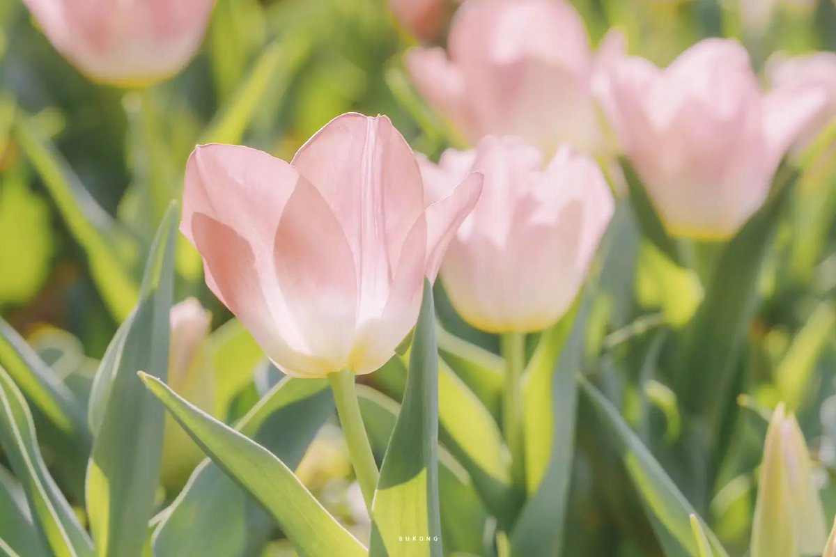 FlorineSpedvh's tweet photo. 他人の心の中なん��覗いてもろくなことないってわかってるのに、また深掘りして自己嫌悪してる。みんなもそんな変な癖ある？ https://t.co/tIRRdWIxSc