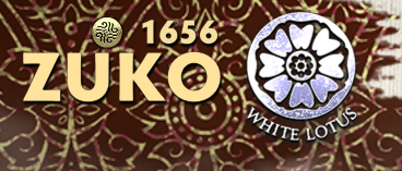 Rainebt_'s tweet photo. huh. I went from apprentice to white lotus. Apparently if you just fight lotus. you eventually just reach contender and they just shove you up there. also is this the masters system? if so. sick #avatarlegends #avatarfighters #AL_ZUKO https://t.co/HSSQDVsDQV