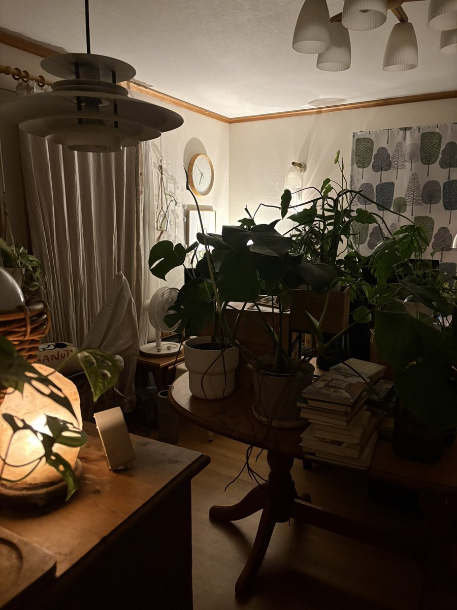 cafexauxlait's tweet photo. エアコン修理業務者さん、早よ来てー。全部まとめたし、準備は整ってる。暑いてー。 https://t.co/Y33gLTkeM9