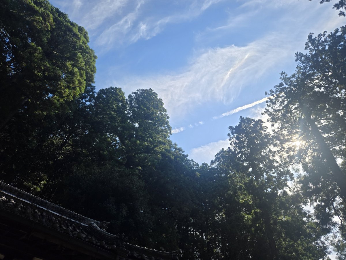 369honobo_no358's tweet photo. #海神社
（室生口大野）
での揺れる紙垂🐉✨️
と現れてくれた優しい龍神様💖

これでダブルの御福分け～🧚‍♀️💞 https://t.co/ScddQgTvOq