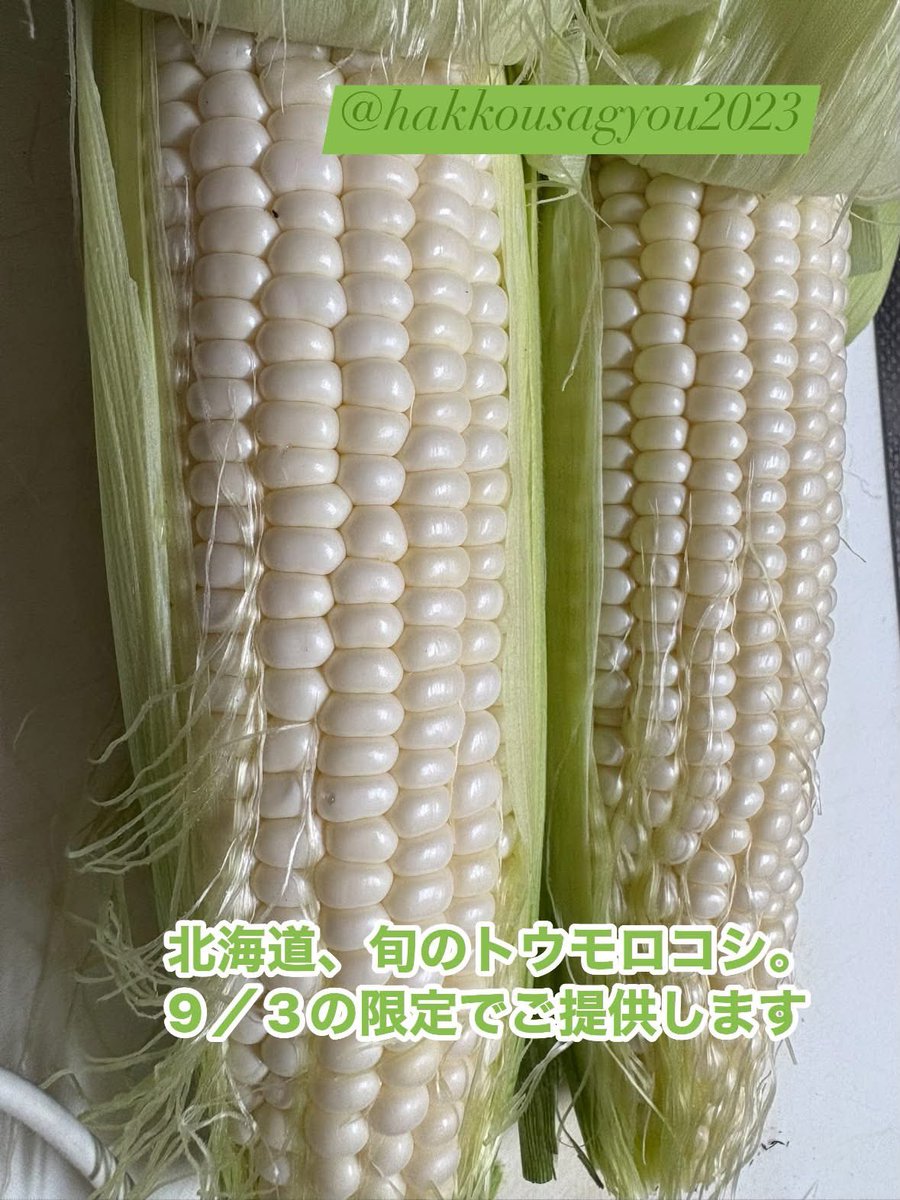 hakkou2023's tweet photo. 発酵さぎょう
本日9/3から営業再開します

北の錦の新酒３種類と
北海道の旬をご用意してお待ちしております https://t.co/WUE0W3DDFY