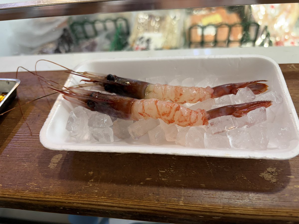 syamojiday's tweet photo. 幻のエビって言われてるブドウエビ
1尾800円するけどめっちゃ甘くて美味しかった https://t.co/zUzQdWrgoi