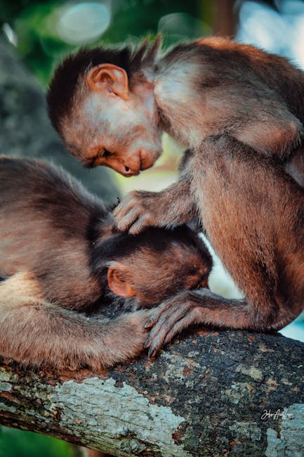 stephenhil7lu's tweet photo. brings deeper deserve this kind relaxation. You need of care You don’t loni zeilinger🇧���� https://t.co/DaFwOn7E70