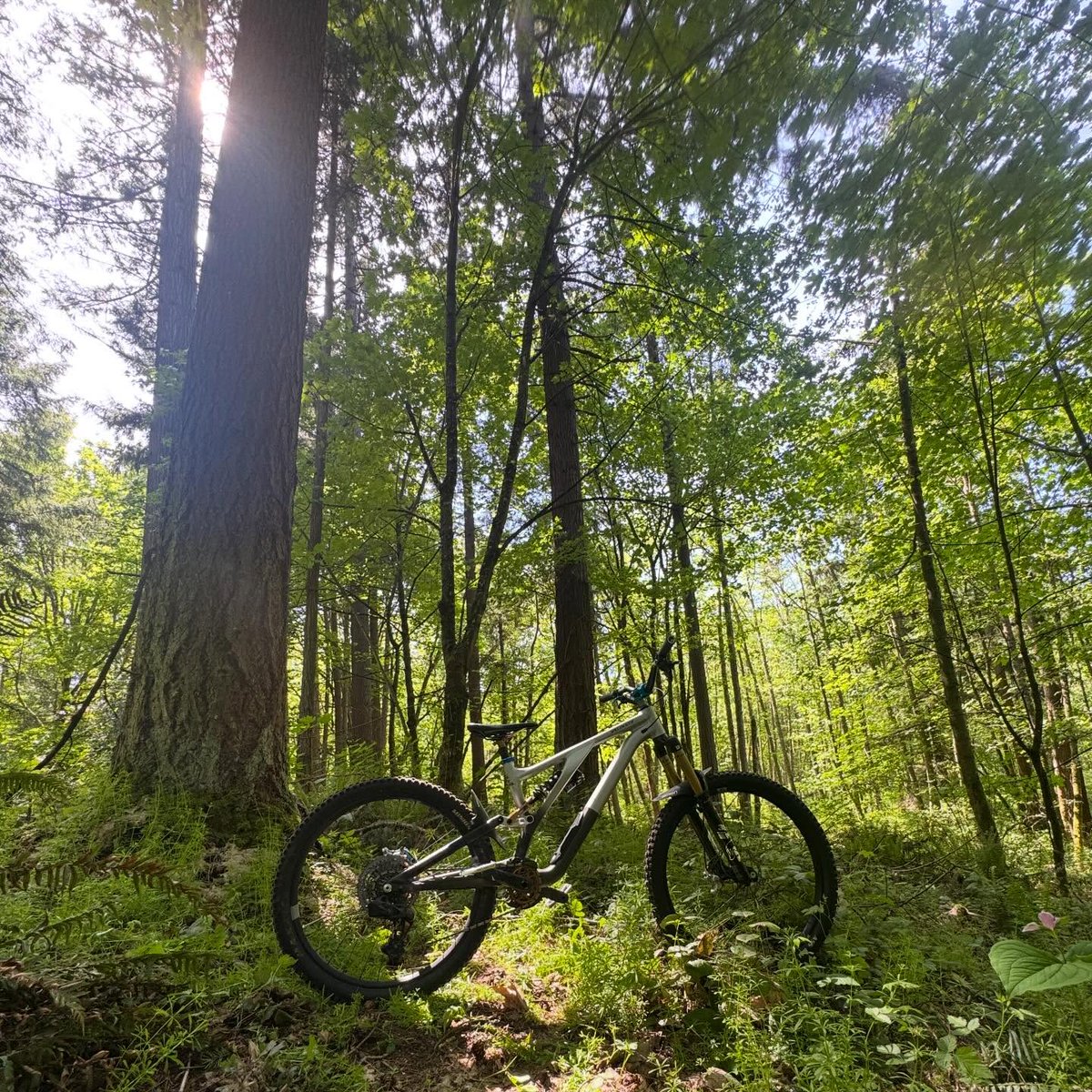 ottomcbride72's tweet photo. Perfect PNW weather and hero dirt this weekend. I like dirt. https://t.co/cRlnbjbKL7