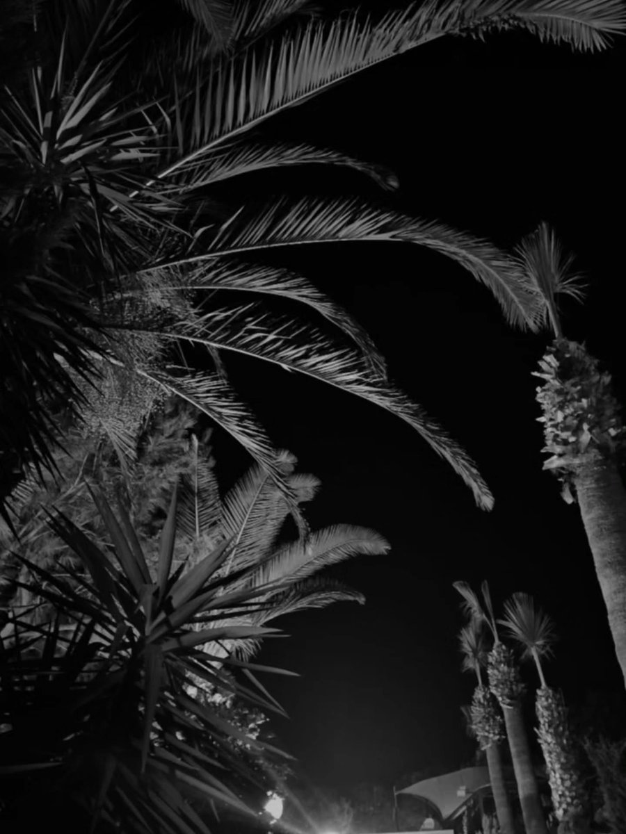 patron201190's tweet photo. Island vibes, endless blue. https://t.co/UyEfAD8xcz